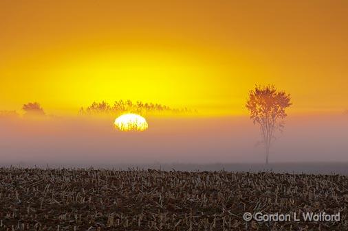 Foggy Sunrise_23850.jpg - Photographed near Lindsay, Ontario, Canada.